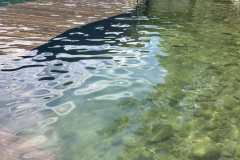 изображение_viber_2024-02-07_16-59-38-974