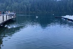 изображение_viber_2024-02-07_17-04-26-363