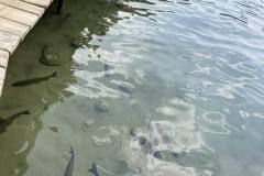 изображение_viber_2024-02-07_17-04-26-395