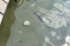 изображение_viber_2024-02-07_17-04-26-450