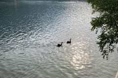 изображение_viber_2024-02-07_17-04-26-492